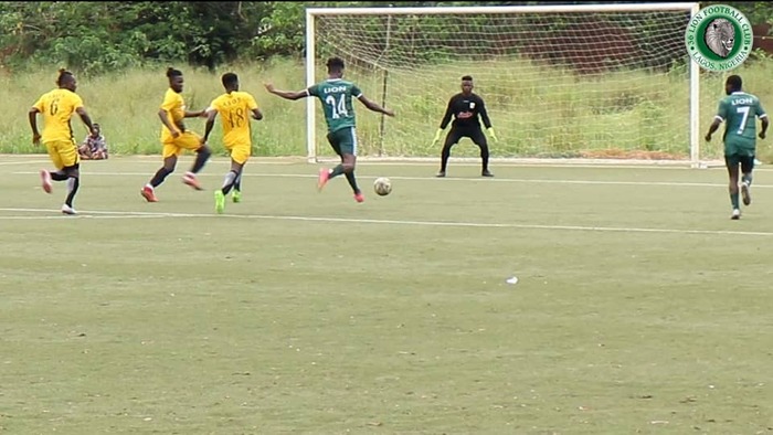 36 Lion Hammer ASAC Foot 6-0 In Friendly